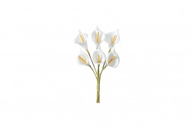 http://decofestive.fr/742758-home_default/bouquet-de-6-arum-7-cm.jpg