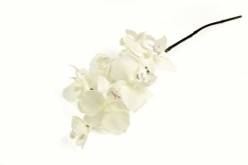 http://decofestive.fr/743840-home_default/branche-d-orchidees-40-cm.jpg