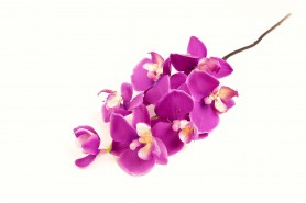 http://decofestive.fr/743842-home_default/branche-d-orchidees-40-cm.jpg