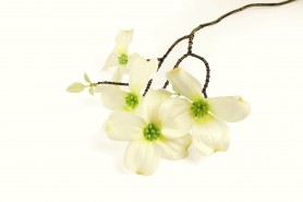 http://decofestive.fr/743843-home_default/branche-de-fleurs-50-cm.jpg