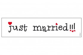 http://decofestive.fr/744373-home_default/plaque-d-immatriculation-just-married-50-x-115-cm.jpg