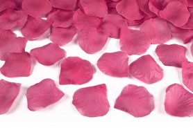 http://decofestive.fr/744544-home_default/petales-de-roses-55-cm.jpg