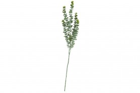 http://decofestive.fr/747111-home_default/branche-de-feuilles-d-eucalyptus-83-cm.jpg