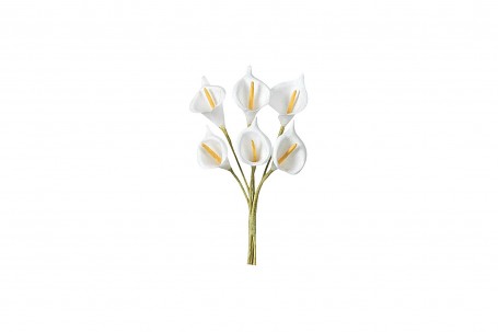 Bouquet de 6 arum 7 cm decofestive.fr 0573-bl