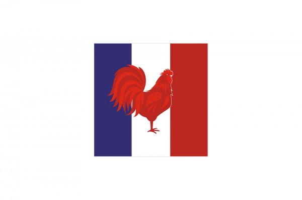Serviette drapeau aspect tissu (6 pays) 25 x 25 cm decofestive.fr 5294-001