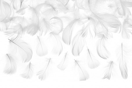 Plumes 3 g decofestive.fr 6920-bl