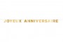 Banderole lettres Joyeux Anniversaire 2,5 m decofestive.fr 6941-or