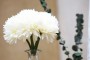 Bouquet de 6 dahlias (3 couleurs) 26 cm decofestive.fr 8274-bl-1